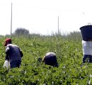 Con +30% ingressi di migranti consistente taglio del debito pubblico