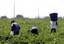 Con +30% ingressi di migranti consistente taglio del debito pubblico