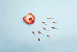 Allarme demografico in Italia: fecondità al minimo storico