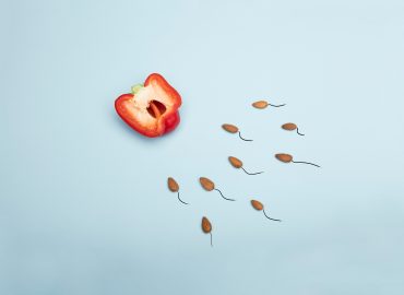 Allarme demografico in Italia: fecondità al minimo storico