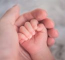 Fecondazione, nato primo bimbo in Gb con Dna di 3 ‘genitori’