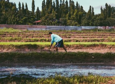 Giornata Mondiale contro il Lavoro Minorile: giustizia sociale per tutti