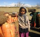 In Afghanistan più di un terzo dei bambini costretto al lavoro minorile