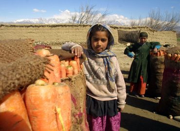 In Afghanistan più di un terzo dei bambini costretto al lavoro minorile