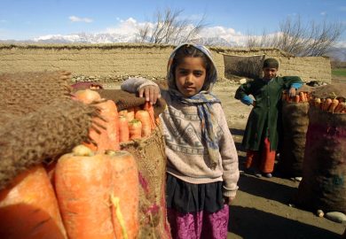 In Afghanistan più di un terzo dei bambini costretto al lavoro minorile