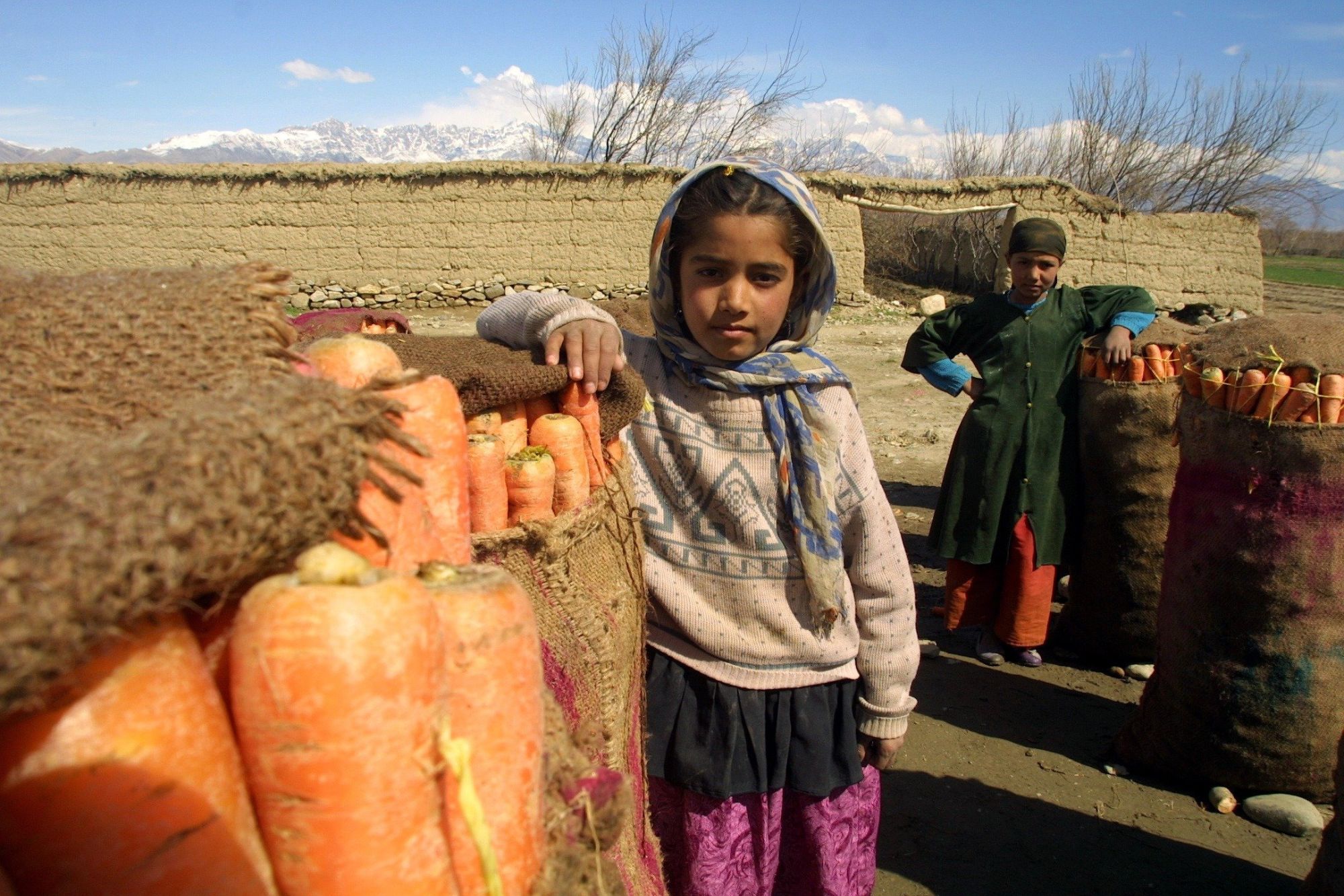 In Afghanistan più di un terzo dei bambini costretto al lavoro minorile