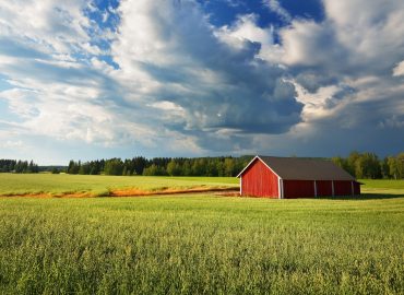 Fuga dalla città: sempre più italiani acquistano casa fuori dalle metropoli