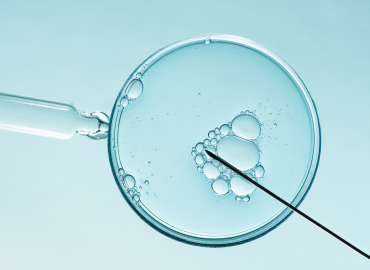 Fecondazione assistita, dal primo gennaio sarà gratuita ma le strutture sono insufficienti