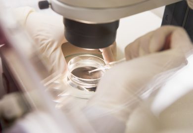 Antonio Pellicer (IVI): “Ecco dove siamo arrivati con l’ovodonazione”