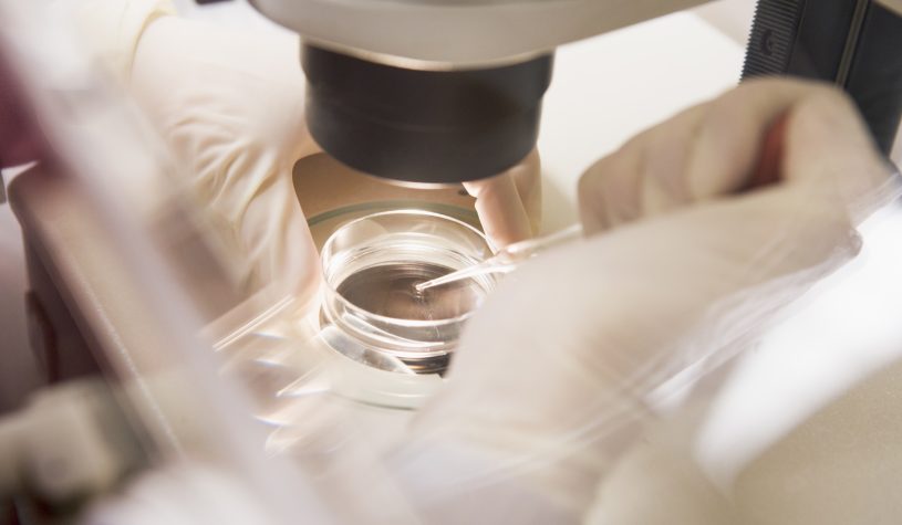 Fecondazione assistita, sensori e algoritmi per analizzare (e ridurre) lo stress nei trattamenti di fertilità