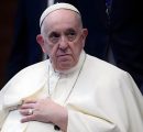 Papa Francesco: “Sembra che le famiglie italiane preferiscano i cagnolini ai figli”