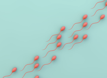 Festa del Papà, Siams: l’infertilità è anche un problema maschile