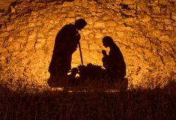 Arriva Natale, ma come è cambiato il concetto di natalità nel corso della storia?
