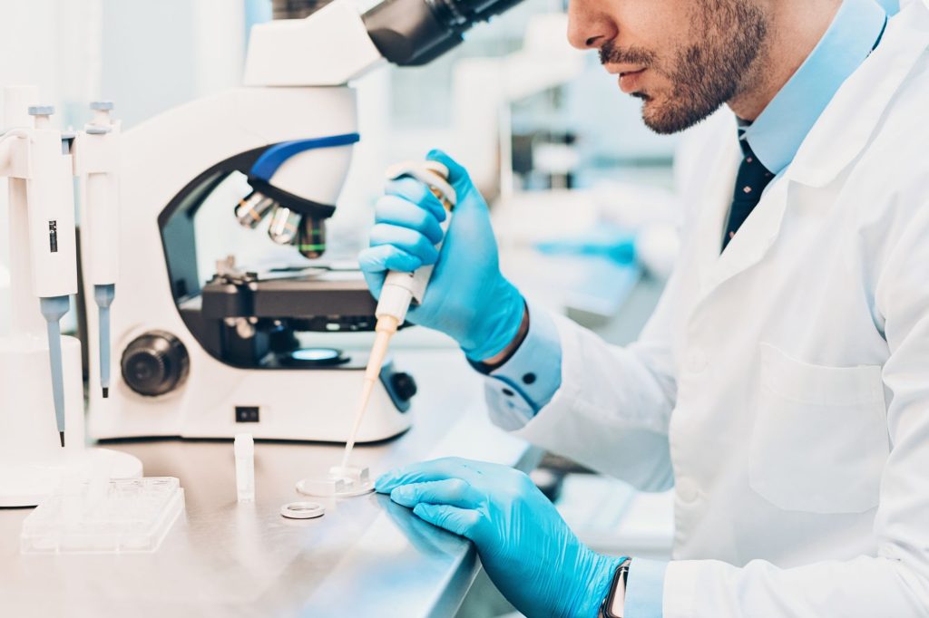 fecondazione in vitro canva