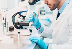 “Trova l’embrione con il minor rischio di malattie”. L’annuncio della clinica di fertilità fa discutere