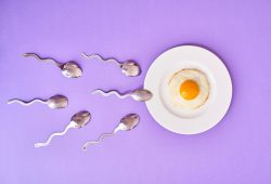 Fertilità maschile sotto osservazione, il decalogo degli urologi
