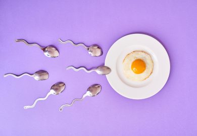 Fertilità, anche una questione di neuroni: cosa rivela lo studio