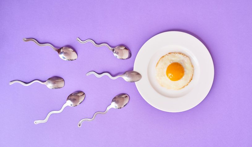 Fertilità, anche una questione di neuroni: cosa rivela lo studio