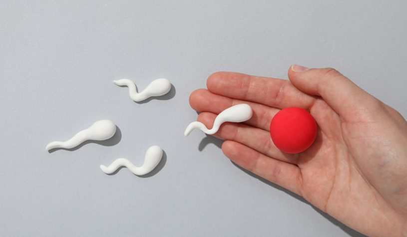 Procreazione assistita, nasce Aife Pma per una nuova “cultura” della fertilità