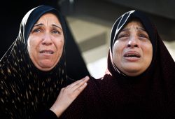 Distrutti 5mila embrioni in vitro a Gaza City: “Il prezzo invisibile della guerra”
