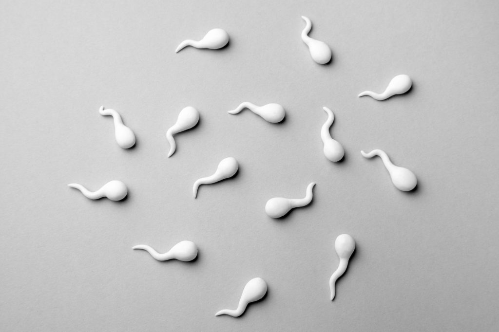 Simboli degli spermatozoi