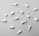 Fertilità in declino, spermatozoi in gara: la provocazione (serissima) di Sperm Racing 