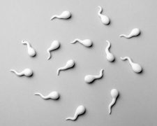 Fertilità in declino, spermatozoi in gara: la provocazione (serissima) di Sperm Racing