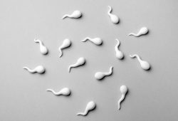 Medico dona sperma senza consenso e nascono 105 figli: leggi, limiti e costi della pratica di inseminazione