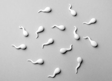 Fertilità in declino, spermatozoi in gara: la provocazione (serissima) di Sperm Racing 