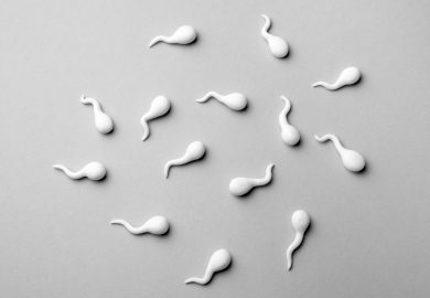 Fertilità in declino, spermatozoi in gara: la provocazione (serissima) di Sperm Racing
