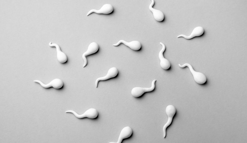 Fertilità in declino, spermatozoi in gara: la provocazione (serissima) di Sperm Racing 