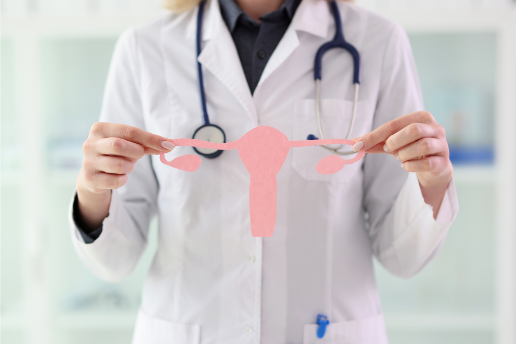 Medico ginecologo tiene l'utero con le ovaie ritagliate dal cartone