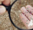 Microplastiche nei testicoli: è allarme infertilità