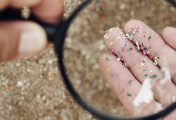 Microplastiche nei testicoli: è allarme infertilità