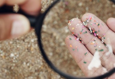 Microplastiche nei testicoli: è allarme infertilità