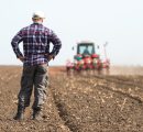 Agricoltori e imprenditori lavorano più di tutti: l’analisi in Ue e in Italia