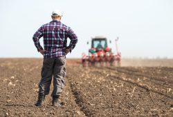 Agricoltori e imprenditori lavorano più di tutti: l’analisi in Ue e in Italia