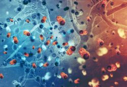 Individuare i tumori con l’esame del sangue, risultati incoraggianti dalla California