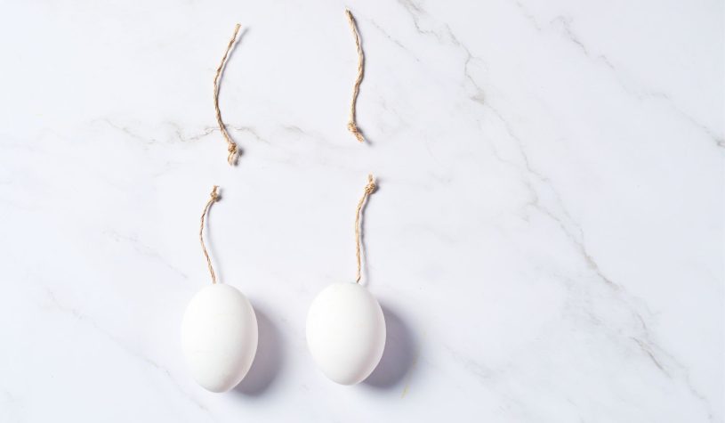 Castrazione chirurgica, arriva l’ok al disegno di legge in Louisiana. E in Italia?