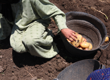 Dalla fabbrica alla scuola: la lunga strada per eliminare il lavoro minorile