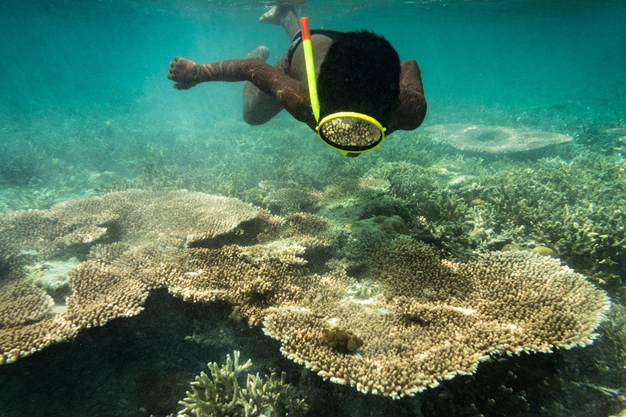 I Bajau, la popolazione che vive sott’acqua