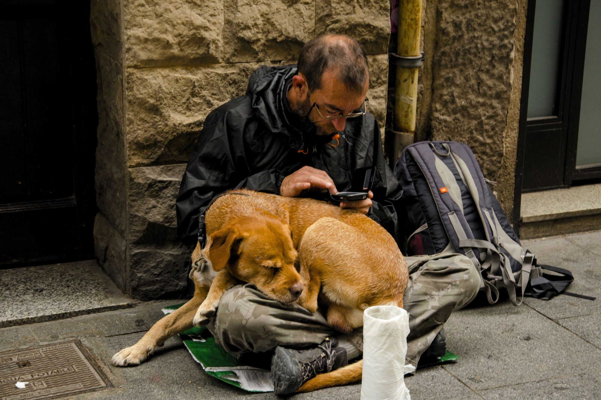 Brasile, comune obbligato a restituire il cane a un senzatetto, il giudice: “Sono una famiglia multispecie”