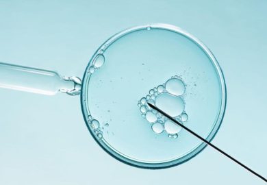 Fecondazione eterologa, Pellicer (IVI): “Oggi stessa efficacia in Italia e in Spagna”