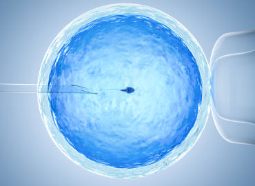 L’intelligenza artificiale nella Pma, nuove frontiere nella fecondazione assistita