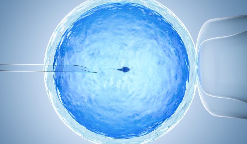 L’intelligenza artificiale nella Pma, nuove frontiere nella fecondazione assistita