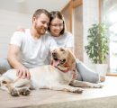 Giornata Mondiale del Cane, cos’è il “pet parenting” per le coppie senza figli