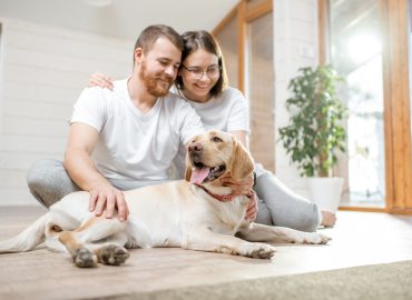 Giornata Mondiale del Cane, cos’è il “pet parenting” per le coppie senza figli