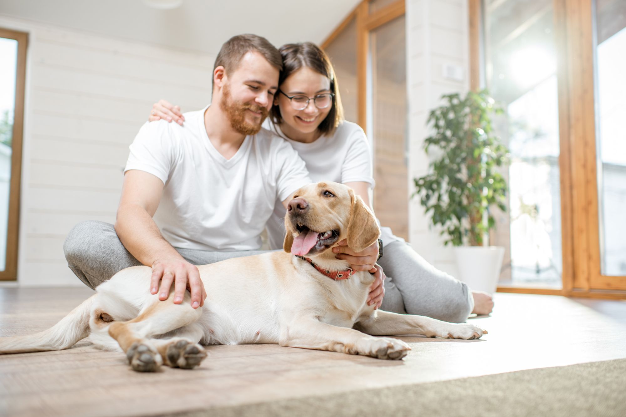 Giornata Mondiale del Cane, cos’è il “pet parenting” per le coppie senza figli