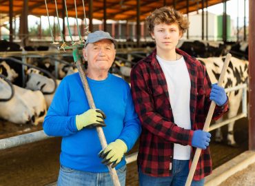 Culle vuote e gap di competenze: così perdiamo 150.000 lavoratori all’anno