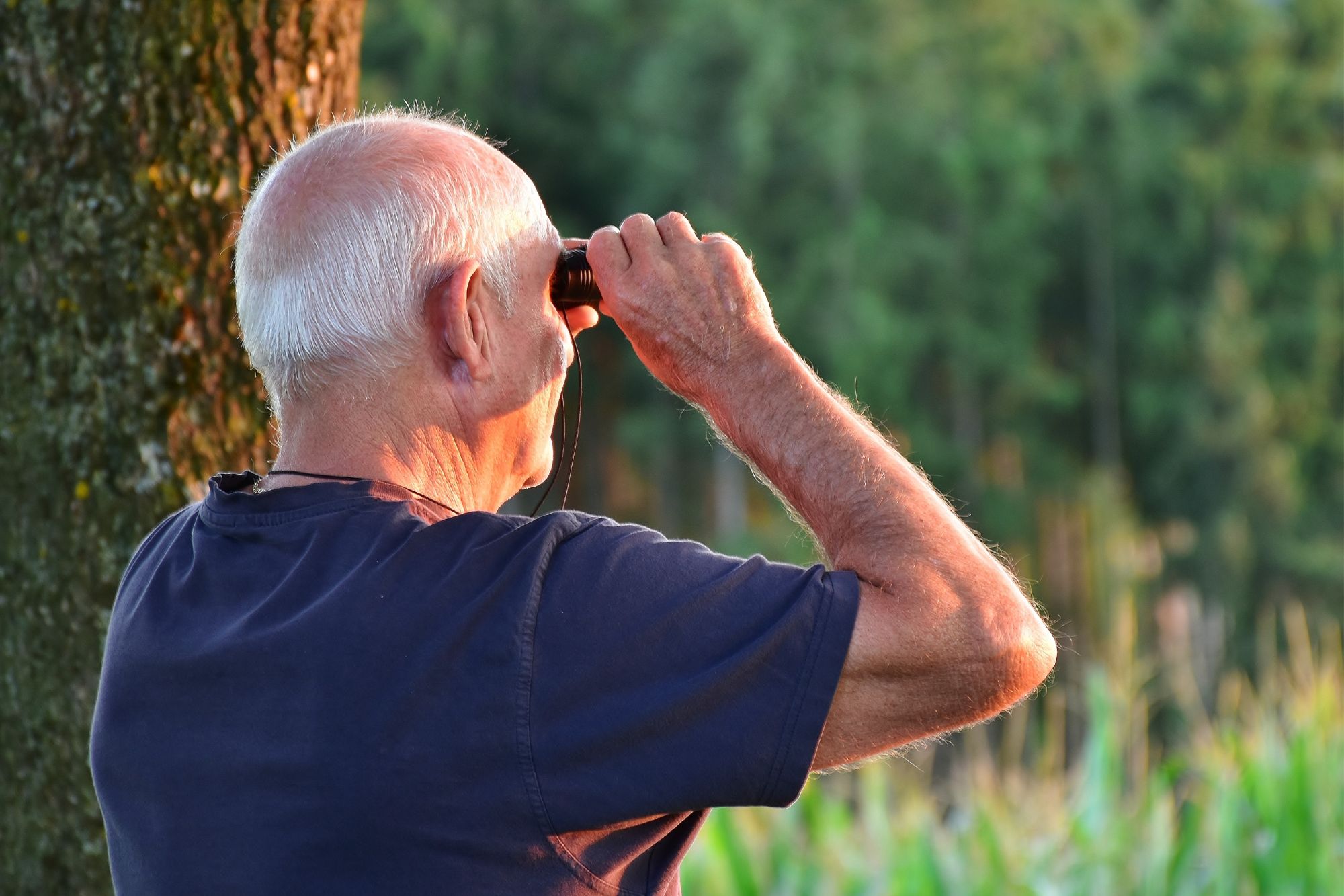 La denatalità traccia il futuro delle pensioni: ecco come potrebbero cambiare dal 2025